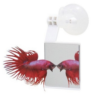 BETTA STRIKE ESPEJO PARA BETTAS