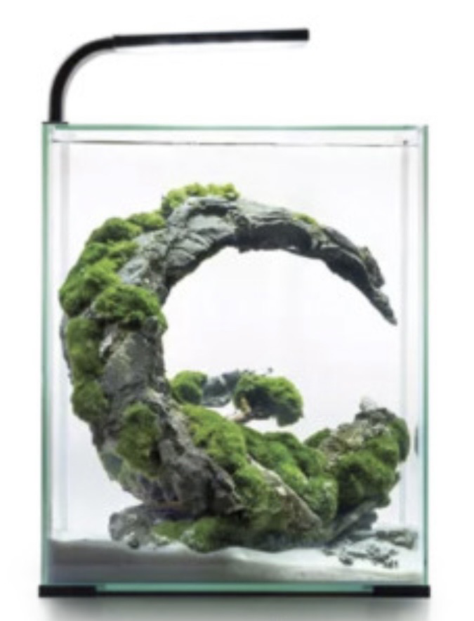 Nano Acuario Shrimp set smart Aquael 30 litros Negro