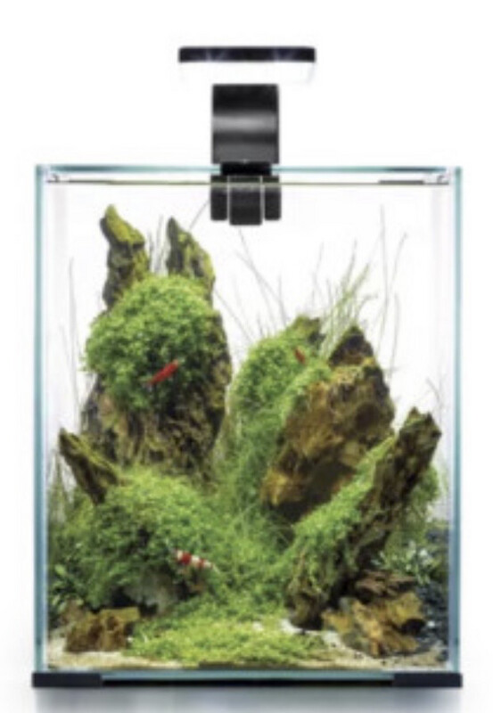 Nano Acuario Shrimp set smart Aquael 30 litros