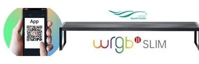 Wrgb Slim