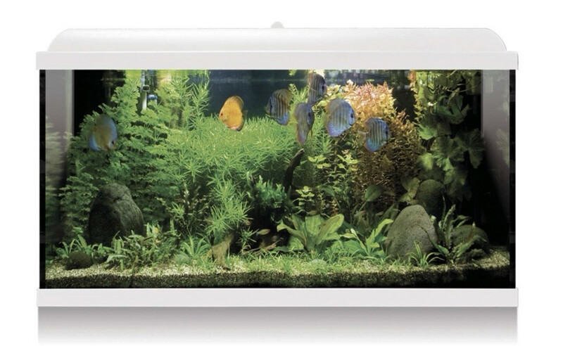 KIT AQUA LED PRO 100 blanco (100 l)