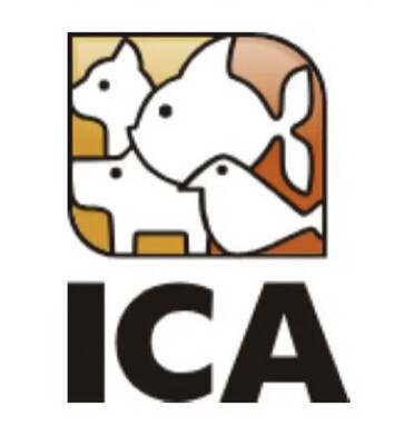 Repuestos Ica