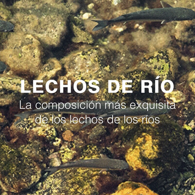Lechos de Río Wio