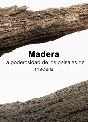 Maderas Wio
