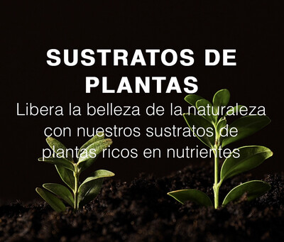 Sustratos para Plantas