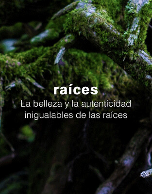 Raíces Wio