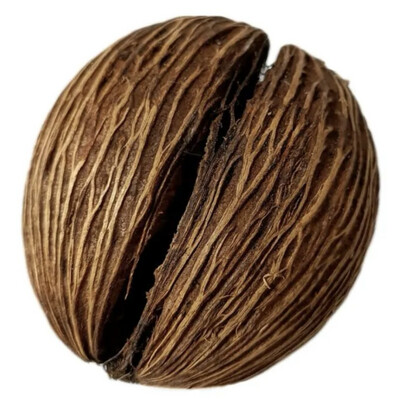 Mintola coconut 1ud