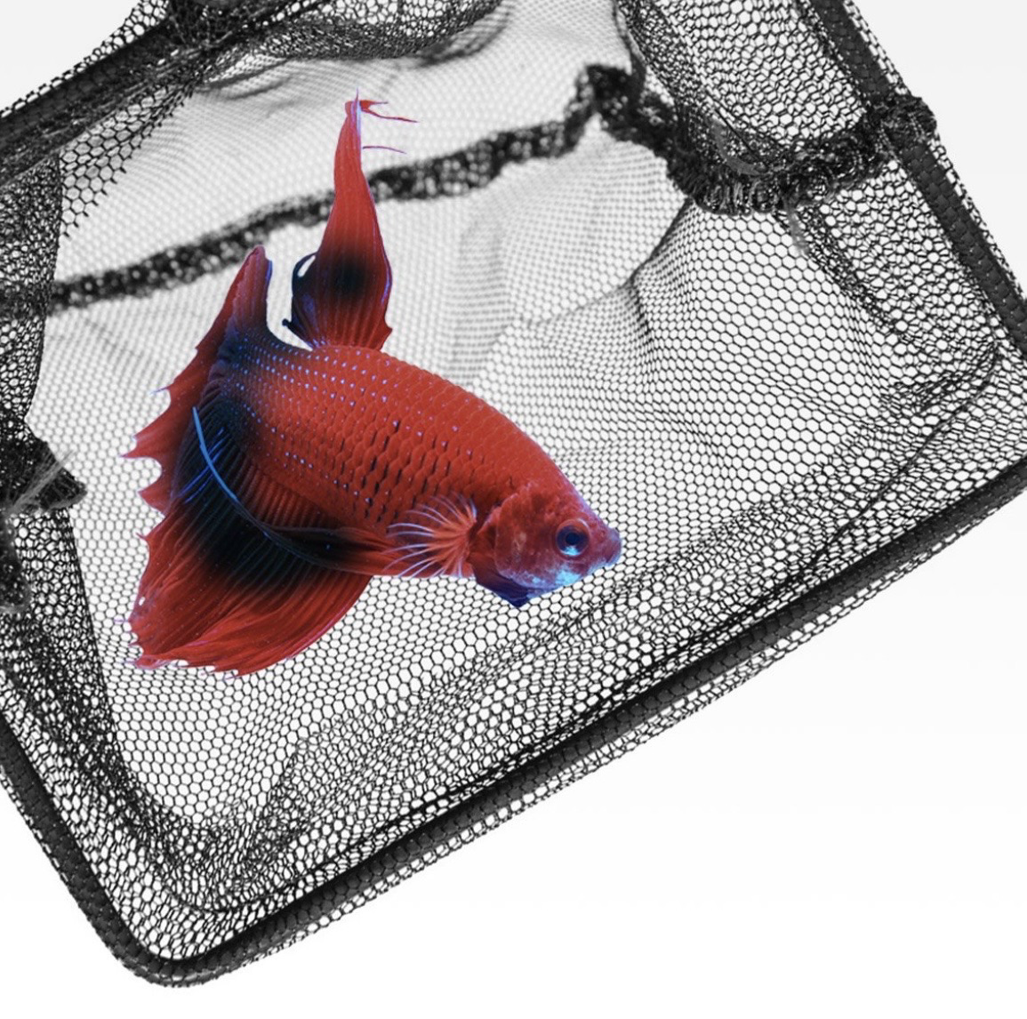 SEACHEM FISH NET – SALABRE 12,5cm