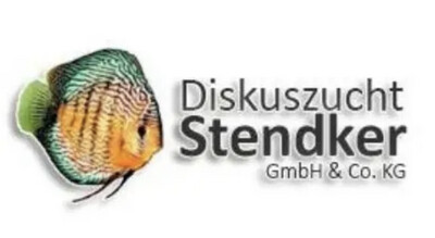 Alimento stendker