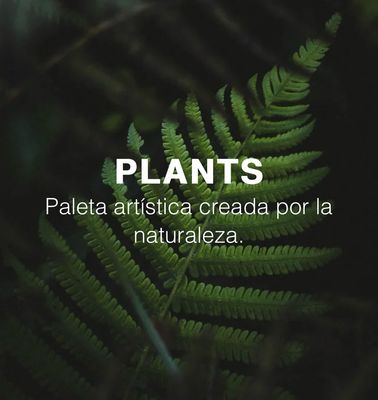 Plantas Wio
