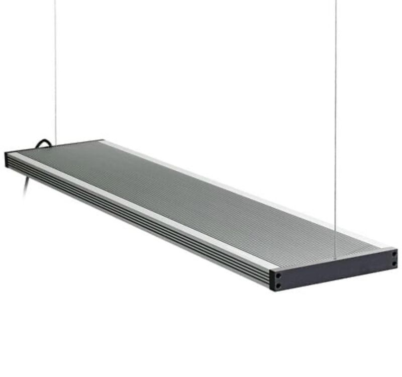 Luz Twinstar III 1200SP