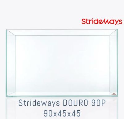 Strideways Douro 90P