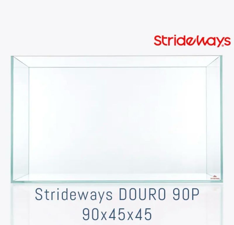 Strideways Douro 90P