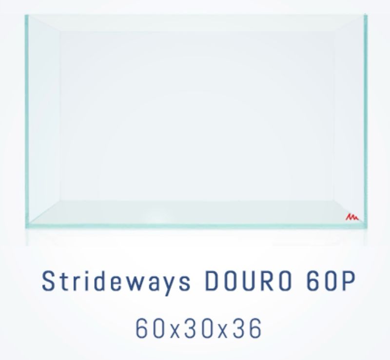 Urna douro 60 strideways