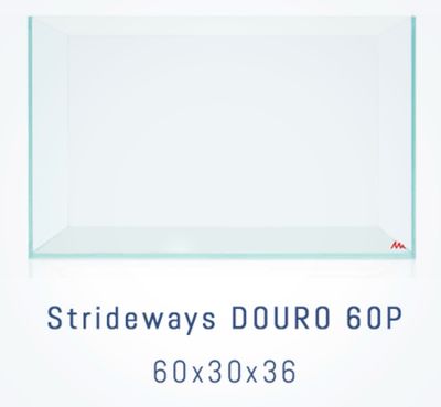 Urna douro 60 strideways
