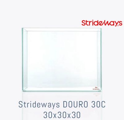 Strideways Douro 30C Cube