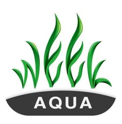 Week Aqua