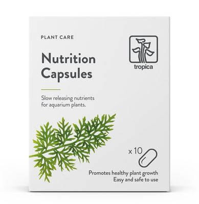 Cápsulas Tropica Nutrition 10 uds