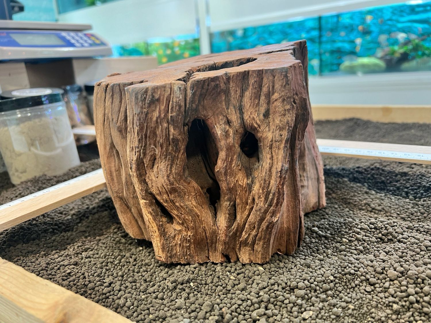Madera De Deriva | driftwood selección ref.5