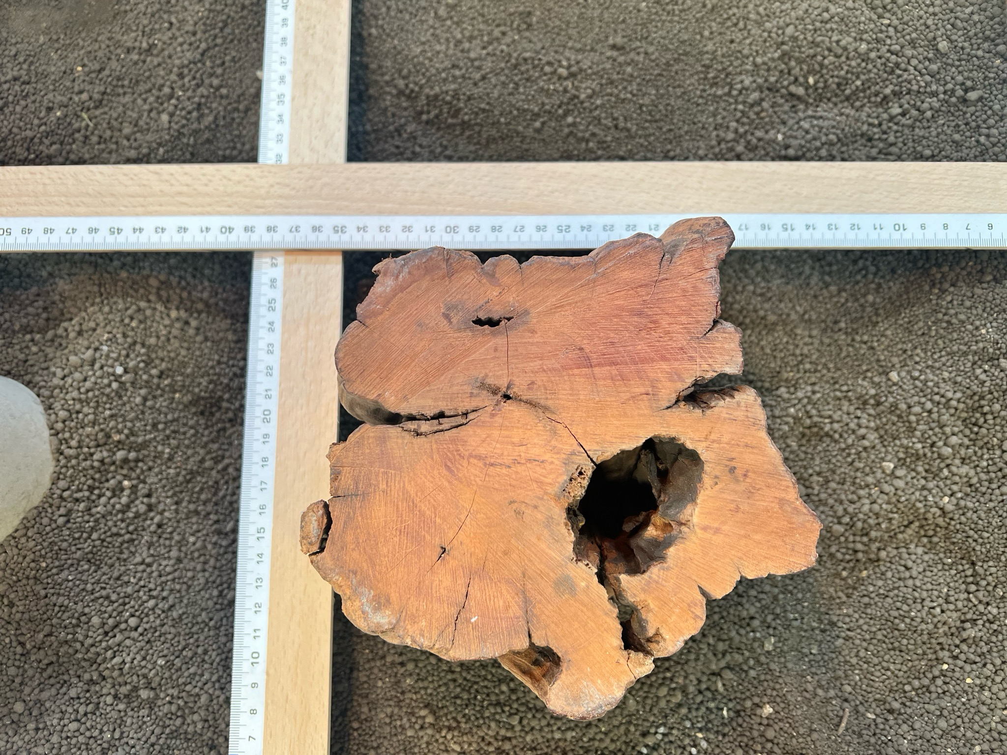 Madera De Deriva | driftwood selección ref.5