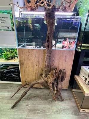 Madera Deriva | driftwood Selección XXL