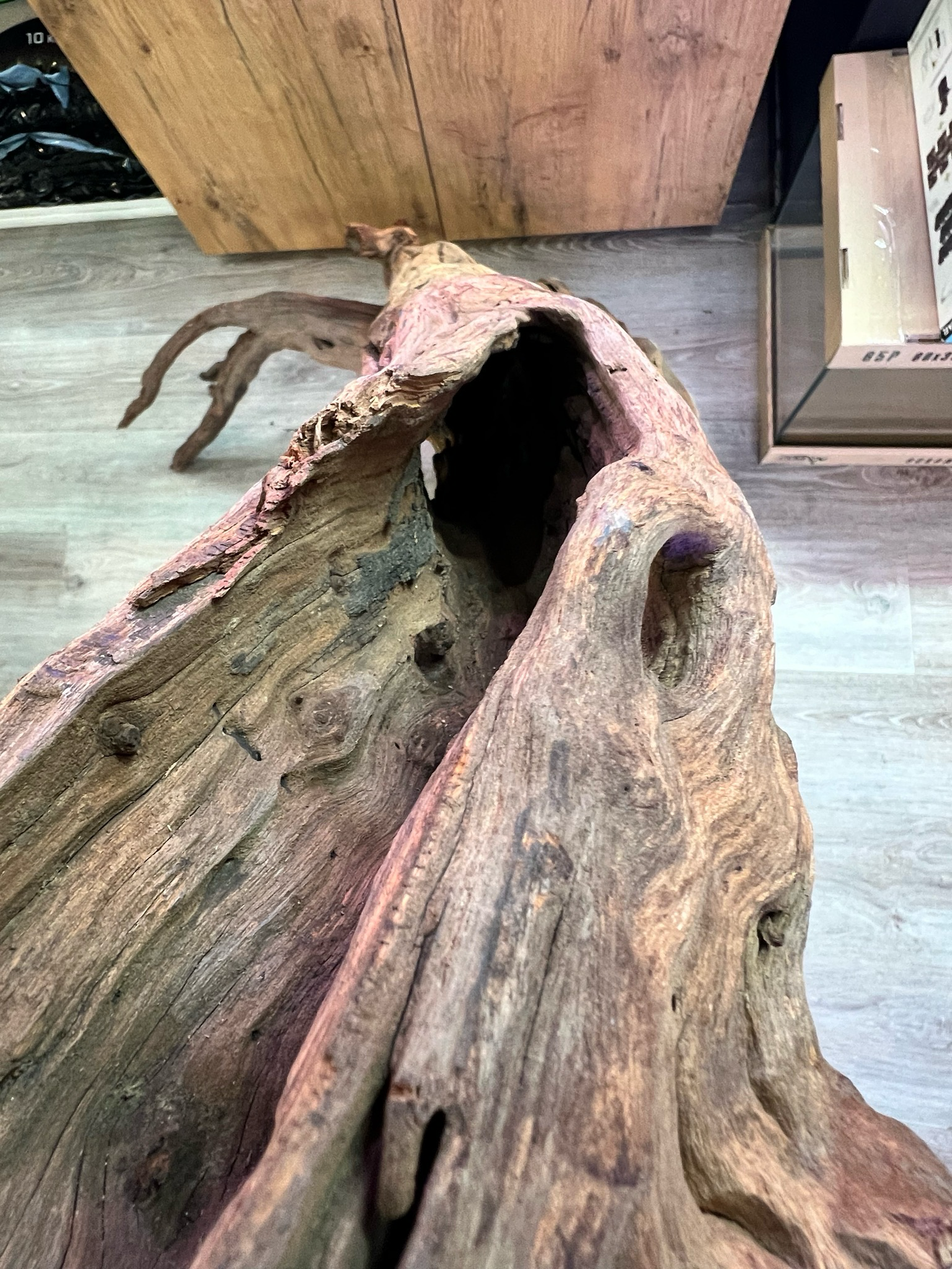 Madera Deriva | driftwood Selección XXL