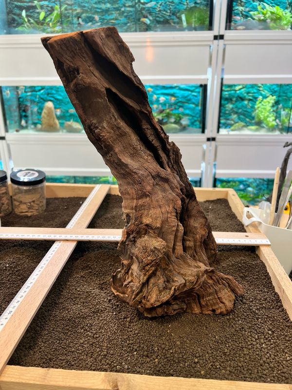 Madera Deriva | Driftwood ref.8
