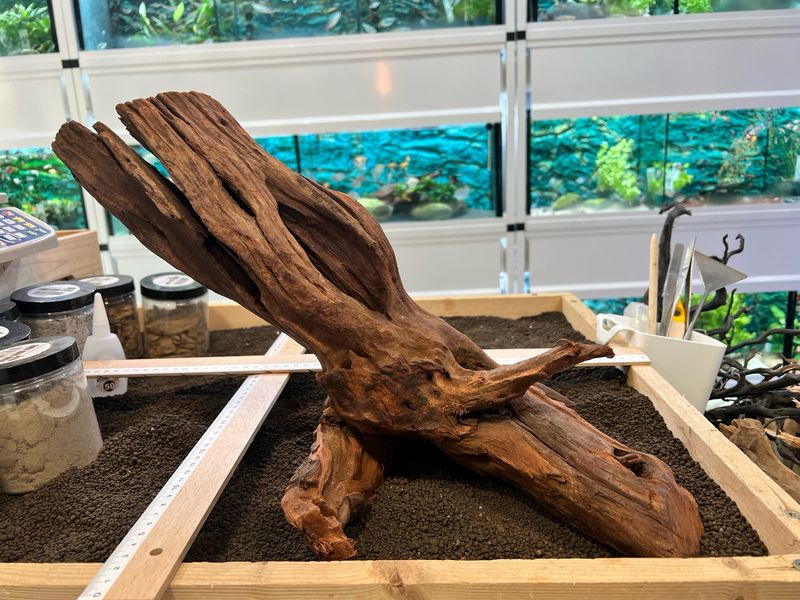 Madera Deriva | Driftwood ref.7