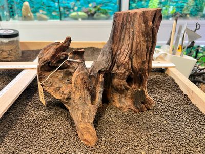 Madera Deriva | driftwood ref.13