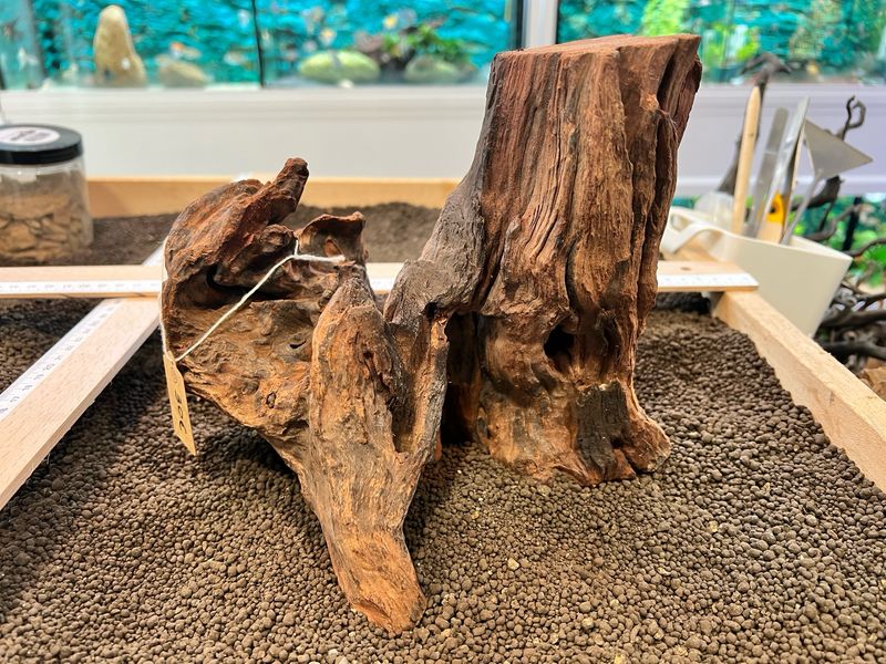 Madera Deriva | driftwood ref.13