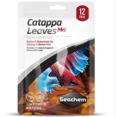 Hojas de Catappa medium. Pack 12 unid. Seachem