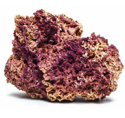 ROCA JURASSIC REEF JBL