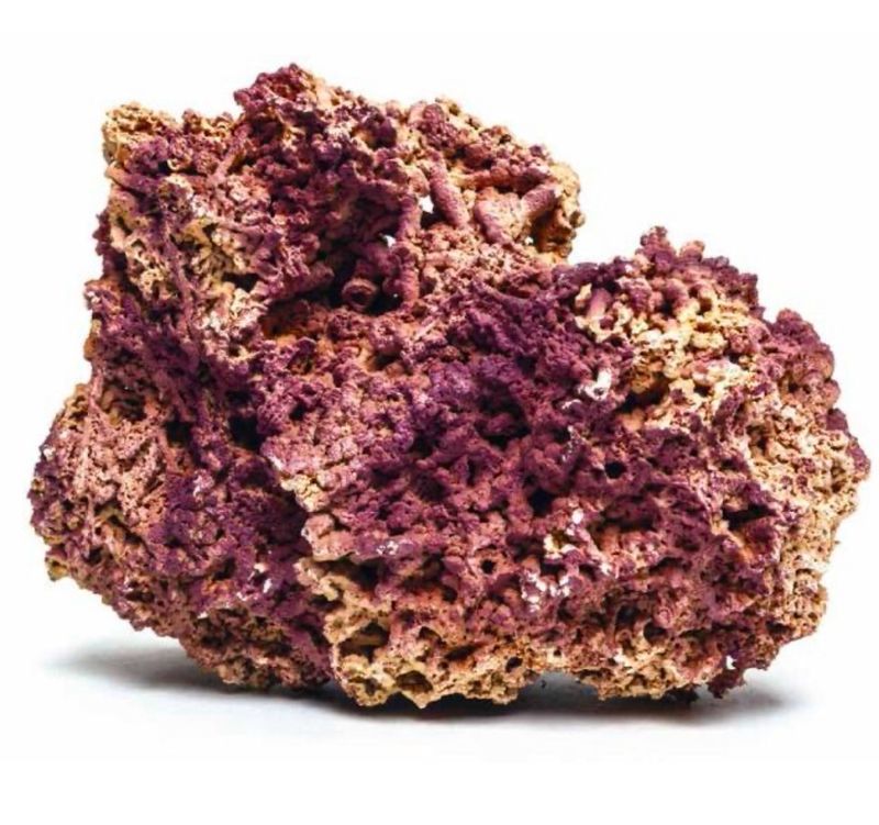 ROCA JURASSIC REEF JBL