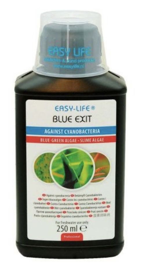 Blue EXIT 500ml