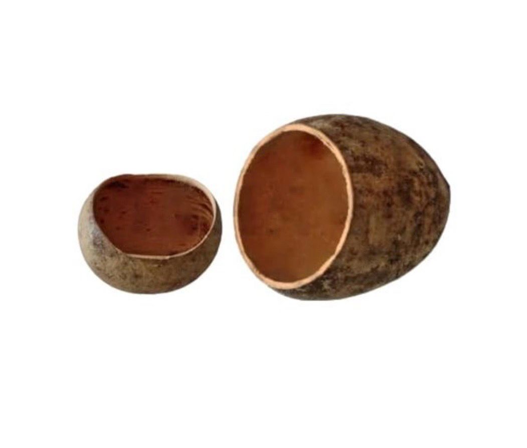 Bael pod (2 unidades)