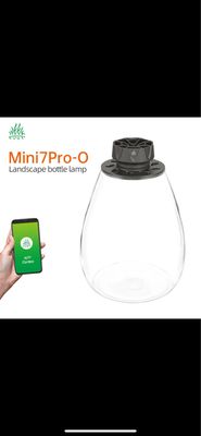 Week aqua - Wabi kusa Mini7Pro-O LED