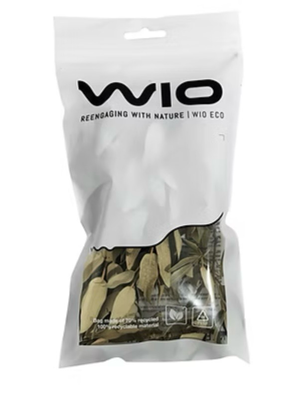 Holm Oak Leaves Wio botánico