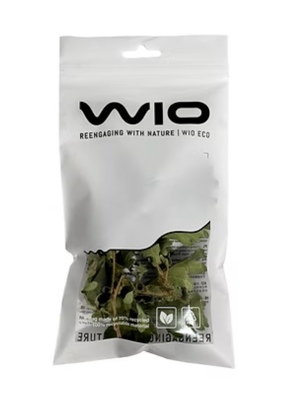 Quercus Leaves Wio botánico