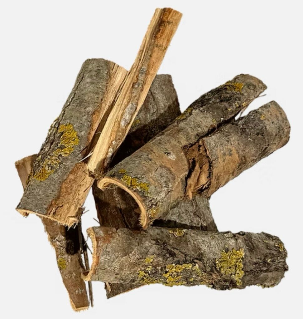 Populus Bark Wood Bit botánico Wio