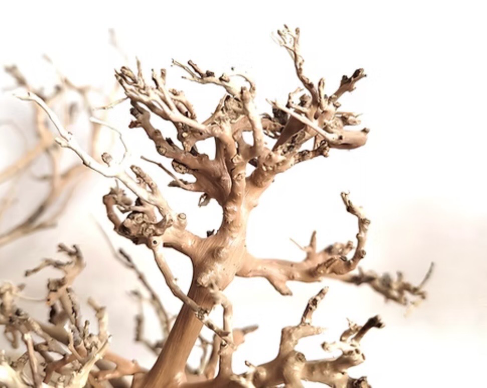 Canopy Wood 10-20cm Wio