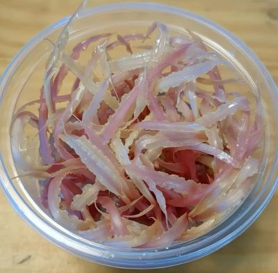 Cryptocoryne balansae pink