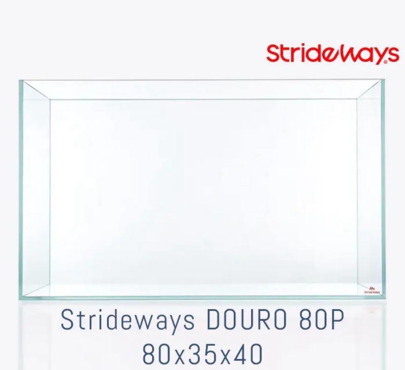 Strideways Douro 80P