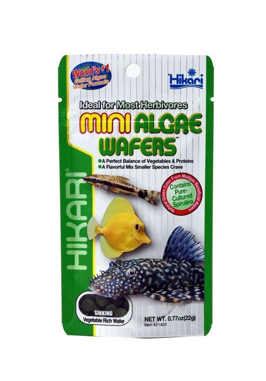 HIKARI MINI ALGAE WAFERS 22G