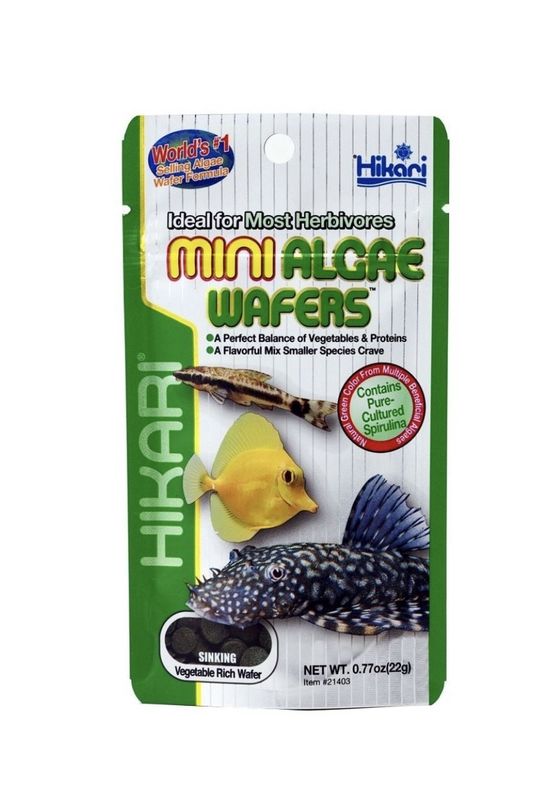 ? Hikari Mini Algae Wafers 85 g – Alimentación Vegetal de Alta Calidad para Peces de Fondo