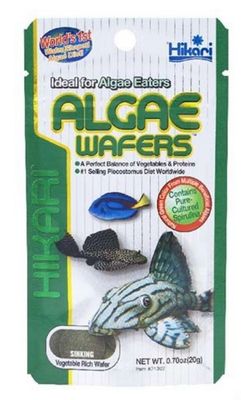 ? Hikari Tropical Algae Wafers 40 g – Disco Nutritivo para Herbívoros de Fondo