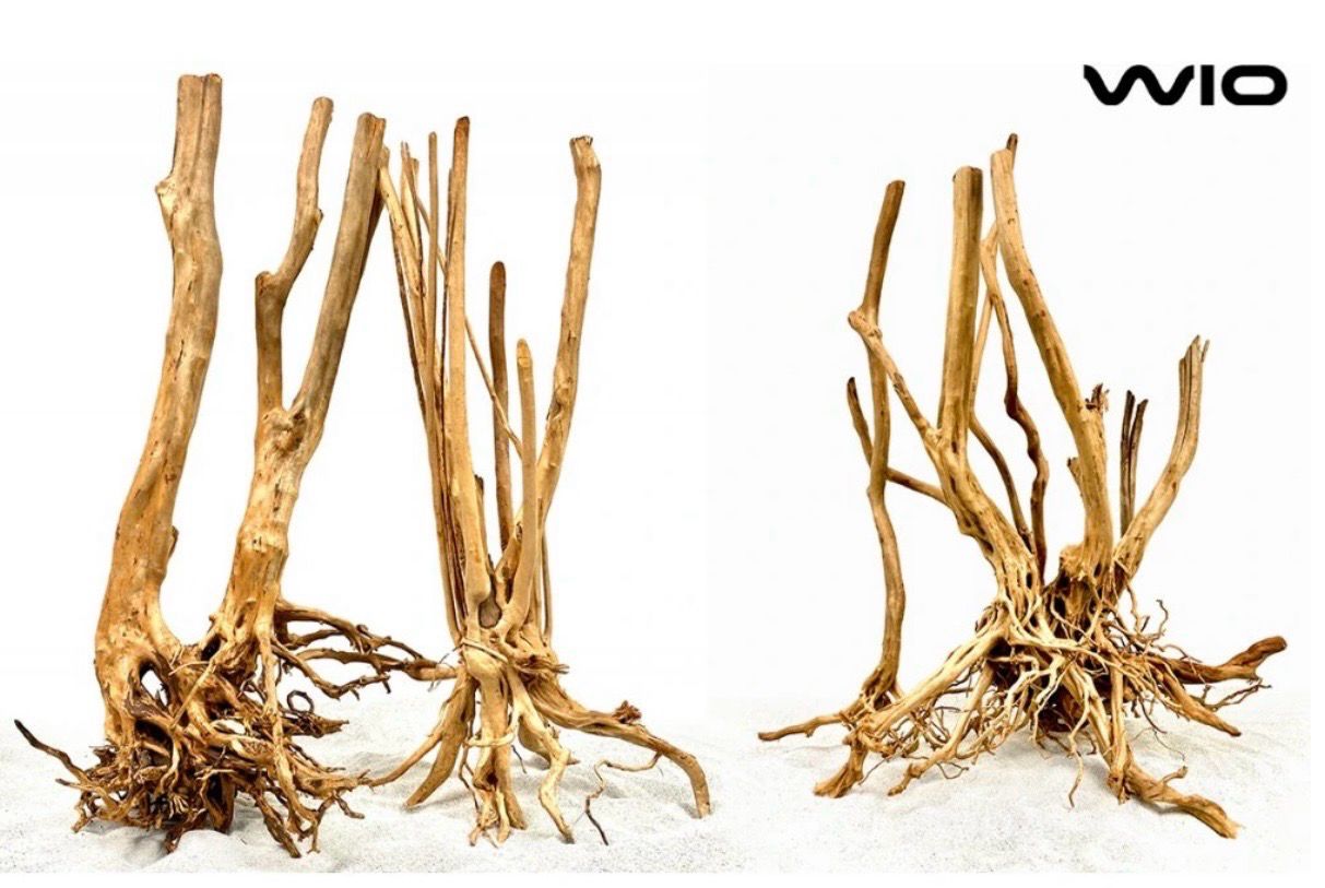 ? WIO Isengard – Raíz (Unidad) ? WIO Isengard – Raíz (Unidad)