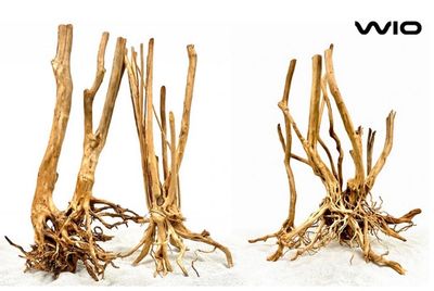 ? WIO Isengard – Raíz (Unidad) tamaño mix ? WIO Isengard – Raíz (Unidad) tamaño mix