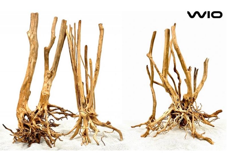 ? WIO Isengard – Raíz (Unidad) tamaño mix