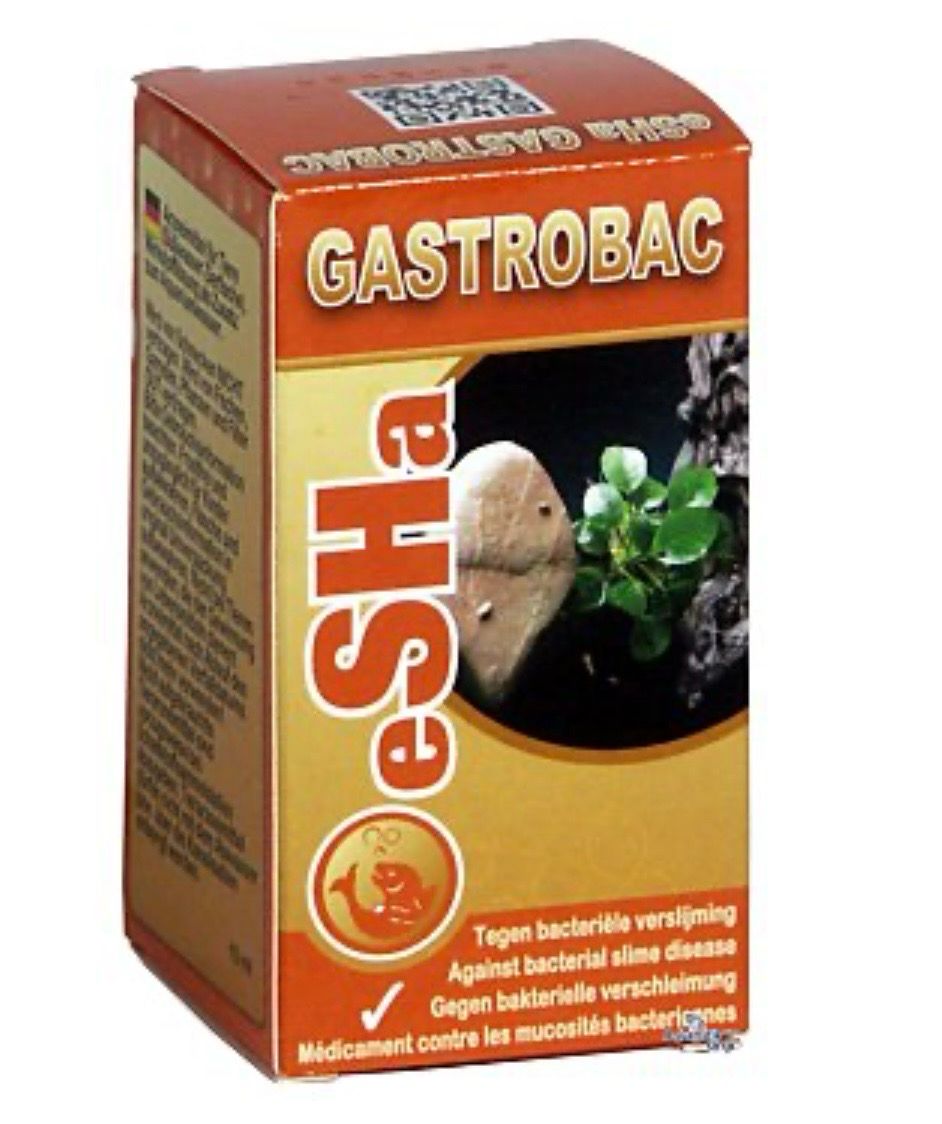 Esha gastrobac 10ml