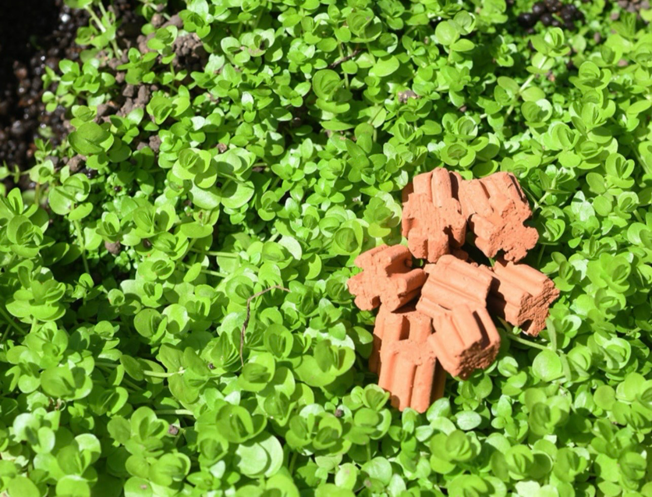 ⚪ Aquario Neo Media Pure Premium – 5 L (Talla S)